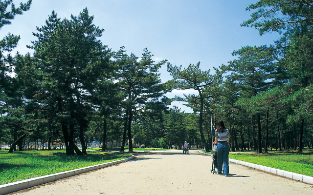 浜の宮公園