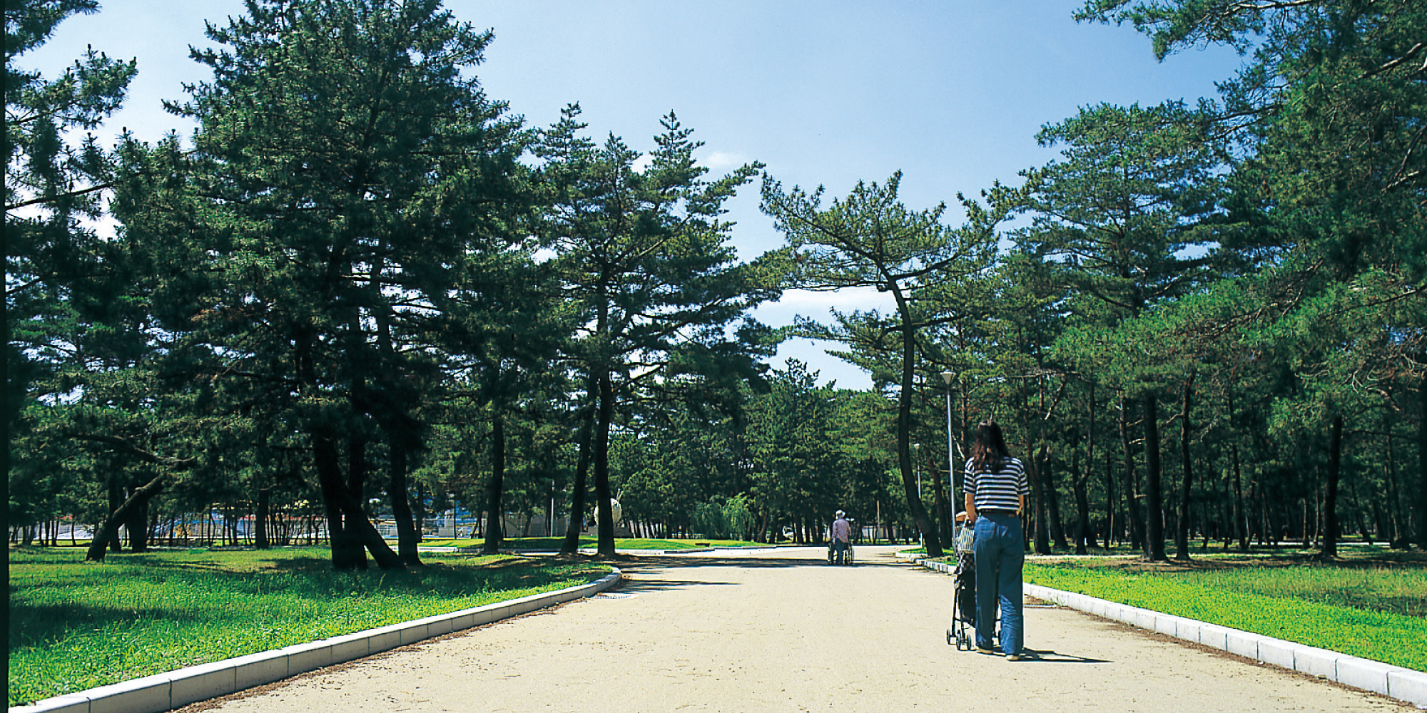 浜の宮公園